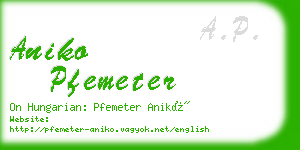 aniko pfemeter business card